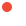 newdoticon.png